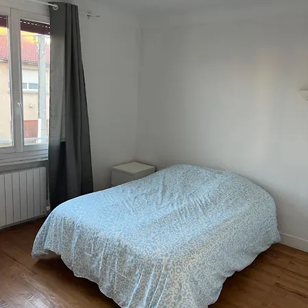 Le Toit Des Volcans - 8 Couchages - Terrasse Privee Et Wifi